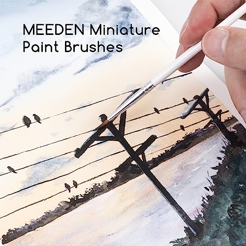 MEEDEN Detail Paint Brush Set - 12 Miniature Art Brushes for Fine Detailing & Art Painting - Acrylic, Watercolor, Oil - Miniatures, Models, Airplane MEEDEN