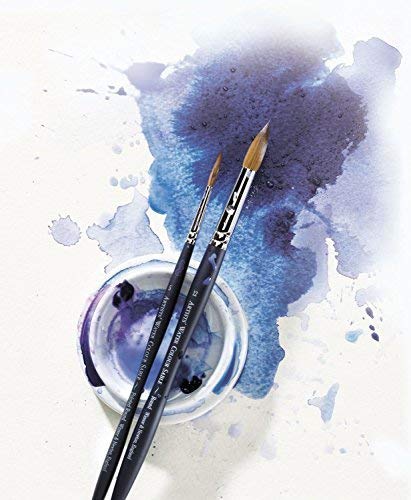 Winsor & Newton Professional Watercolour Sable Brush, Round #10 - WoodArtSupply