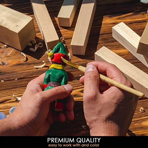 BeaverCraft BW10 Basswood Carving Blocks Set Bass Wood S14 Wood Carving Tools Set Wood Whittling Kit Wood Carving Kit Wood Carving Hook BeaverCraft