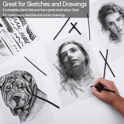 PANDAFLY Willow Charcoal Sticks, Soft, Black Artist Vine Charcoal for Artists, Beginners, Students, Great for Sketching, Drawing, Shading and Fine PANDAFLY