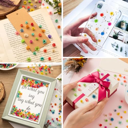 1700 PCS Bulk Tiny Dried Flowers for Resin - Small Dried Flowers for Crafts, Natural Real Mini Dried Pressed Flowers for Jewelry Earrings Epoxy LGFMGWH