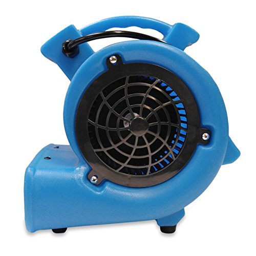 BlueDri Mini Storm 1/12 HP Mini Air Mover Carpet Dryer Floor Squirrel Cage Blower Fan for Home Floors and Carpets, Blue (SA-MI-BL) BlueDri