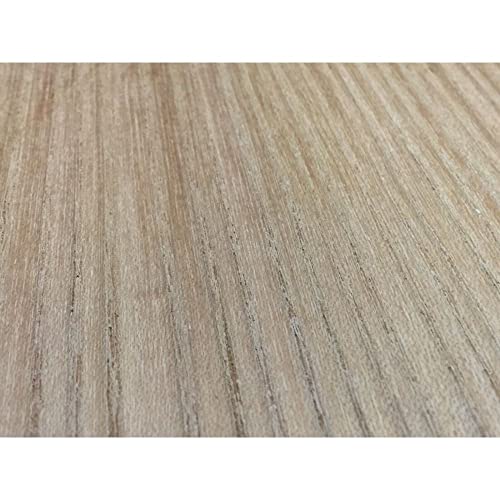 7x2 Red Elm Kiln Dried Wood Turning Lathe Bowl Blank Block Generic