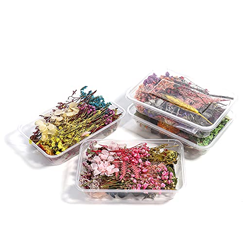 AGCFABS 1 Box Random Real Dried Flower Resin Mold Fillings UV Expoxy Flower for Epoxy Resin Molds Jewelry Making Craft DIY Accessories (Random) AGCFABS