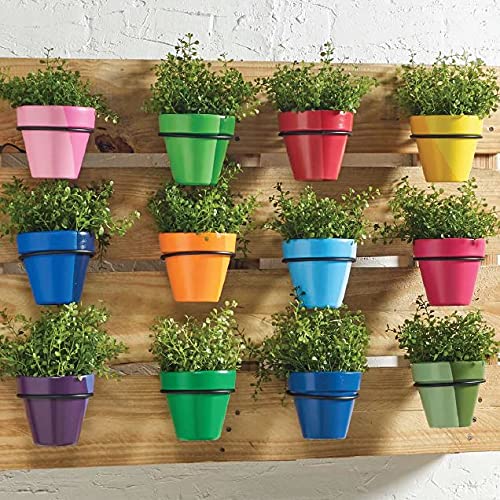 Plaid 50557E Flat Brush, (2-Piece), Gold Taklon Plaid