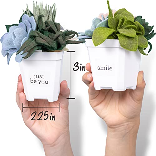 Hapinest Make Your Own Potted Felt Succulents | DIY Arts and Crafts Kit for Adults, Teens and Kids Girls Ages 6 7 8 9 10 11 12 Years Old and Up | Art Hapinest