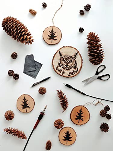 Woodburning Workshop: Essential Techniques & Creative Projects for Beginners Keepsake Quilting