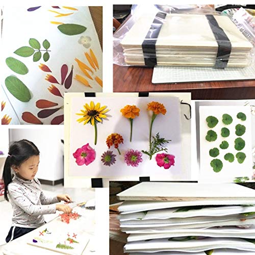 Wooden Flower Press Kit, Leaf Press, Nature Plant Press Set, Fruit Pressing Kit, Wooden Art Kit for DIY Art Handcraft (6.3x8.3inch/16x21cm) LIXINDEE