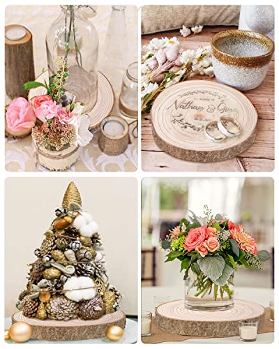 Wood Slices 4 Pcs 9.8-12Inch Large Wood Rounds Unfinished Wood Circles Natural Wood Slices for Centerpieces/Table BeNiNat