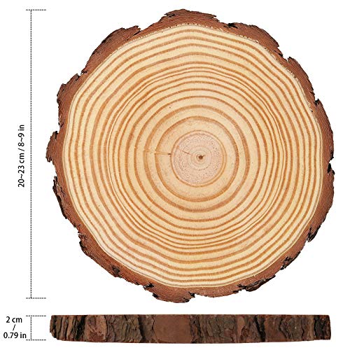 HOZEON 8 PCS 8-9 Inches Natural Wood Slices, Smooth Rustic Unfinished Wood Slices, Wood Slices for Crafts, Arts, Wedding Decoration, Christmas, HOZEON