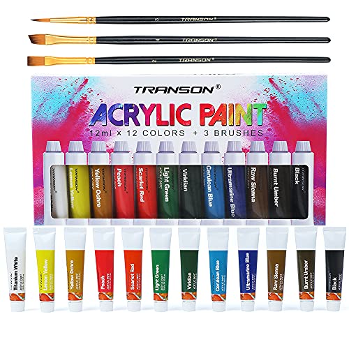Transon 20pcs Art Painting Brush Set with Acrylic Paint Set 12-Color TRANSON
