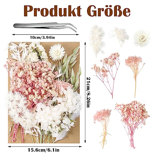 Real Dried Flowers, Natural Dry Flowers Mixed Natural Pressed Flowers Flores Secas Dried Florals for Crafts,Resin,Candle Making (Pink and White) auroray