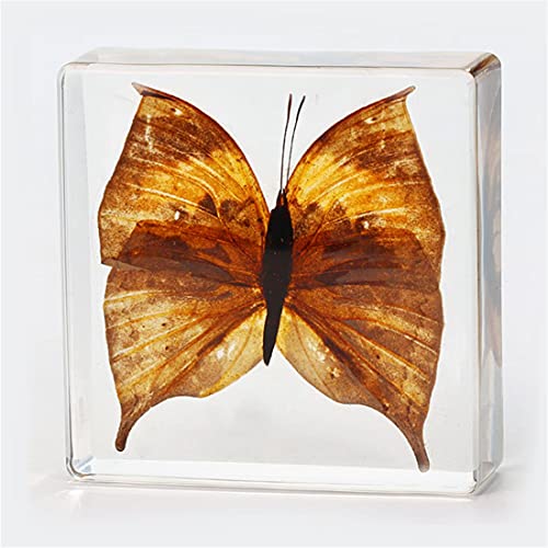 8PCS Resin Molds Silicone Kit,Epoxy Resin Casting Molds Square Pendant Molds,Epoxy Molds for Resin Jewelry, Paperweight, Diorama,Dried Flower Leaf, F FYJS