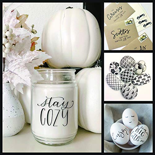 FLYMAX Black Acrylic Paint Pen, 6 Pack 0.7mm Acrylic Black Permanent Marker Black Paint Pen for Glass Ceramic Rock Leather Plastic Stone Metal Canvas FLYMAX