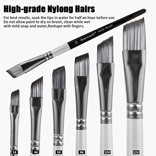 Angular Paint Brushes Set, 6 Pcs Angled Paintbrushes for Acrylic Oil Watercolor Gouache Painting, Premium Nylon Hair Angle Shader Brush for Art Genixart