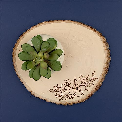 Walnut Hollow Basswood Country Round, Extra Large for Woodburning, Home Décor and Rustic Weddings Walnut Hollow