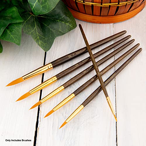 Royal & Langnickel Gold Royal Zip N' Close Taklon Round 6-Piece Brush Set, 10.5 x 2.9 x 0.5 Royal & Langnickel