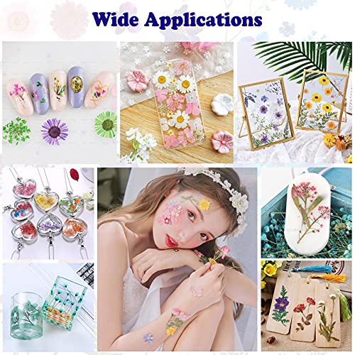 LUCISKY 152 Pcs Dried Pressed Flowers for Resin and Nails, Real Natural Flowers Leaves and Butterfly Stickers for Jewelry Soap and Candle Making LUCISKY