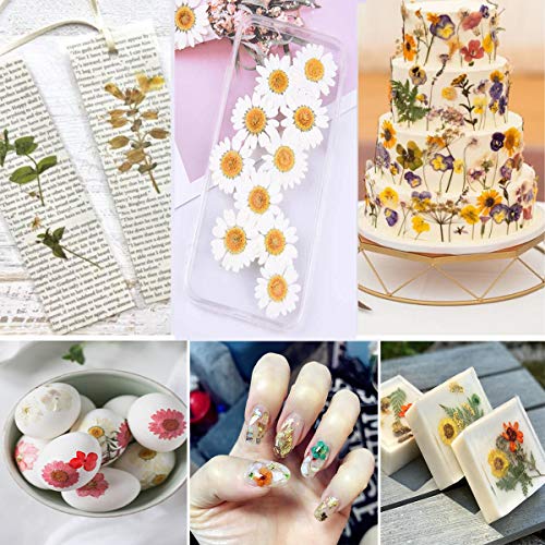 141PCS Brown Fall Dried Pressed Flowers for Resin - Youthbro Real Nature Flowers Herb Set for Christmas DIY Candle Soap Vase Making Nail Card YouthBro