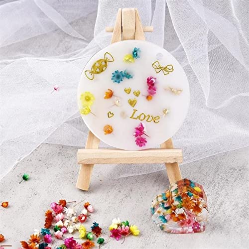 homeemoh 200 Pcs Mini Natural Dried Flowers, Small Dried Flowers Heads Natural Brazil Little Star Flowers for DIY Crafts Candle Making Epoxy homeemoh