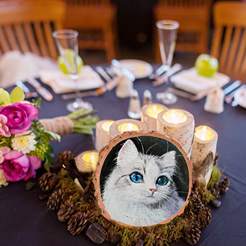 SENMUT Wood Slices 20 Pcs 3.5-4.0 inch Natural Rounds Unfinished Wooden Circles Christmas Wood Ornaments for Crafts Wood Kit Predrilled with Hole SENMUT