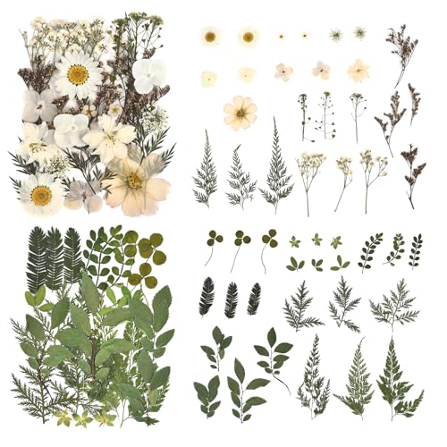 DALARAN 100pcs Red Natural Flowers and Leaves Compressed Dried Flowers for Resin Vacuum Packed DIY Dried Flowers for Epoxy Jewelry Candles Soap Nail DALARAN