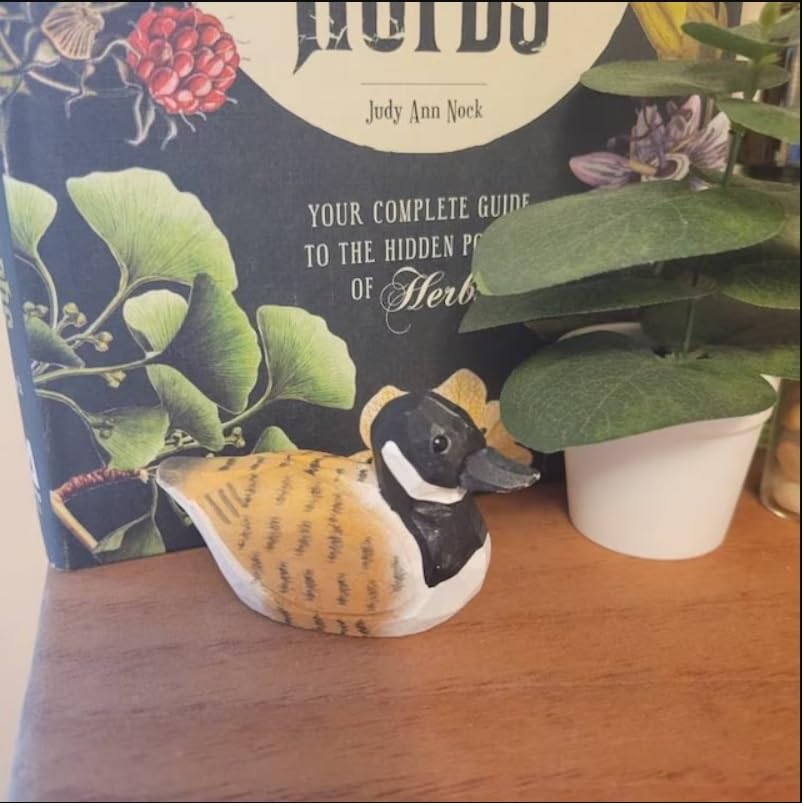 Selsela Canada Goose Figurine Decoration Handmade Wooden Statue Duck Art Decoy Carved Bird Geese Branta Small Animal Collectible Selsela