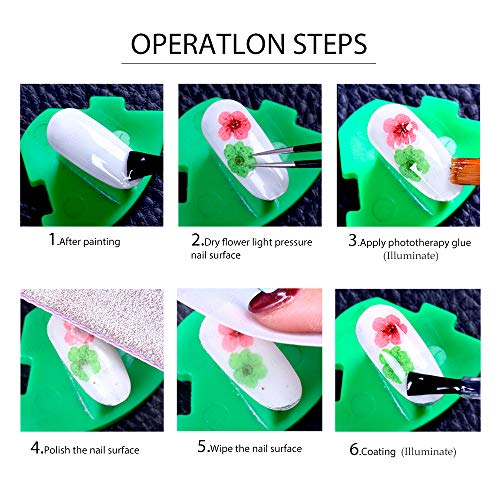 324PCS Dried Flowers Nail Art - Nail Art Accessories Kits, 81 Color Lovely Natural Nail Art, Dried Flowers for Resin Molds, Dry Flowers for Nails, YWLI