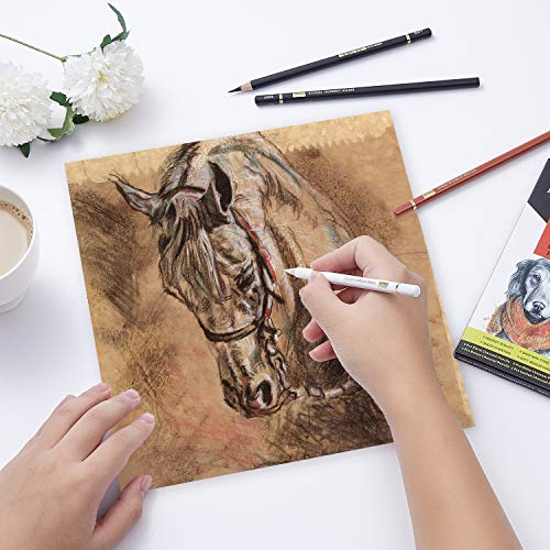 MARKART Professional Colored Charcoal Pencils Drawing Set, 10 Pieces Black White Charcoal Pencils for Sketching, Shading, Blending, Pastel Chalk MARKART