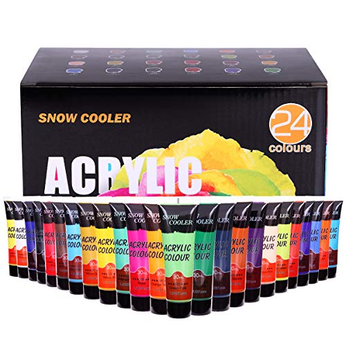Acrylic Paint Set 24 Colors Acrylic Paints for Painting, Art Craft Paint Gift for Artists Kids Beginners, Pumpkin Canvas Ceramic Rock Painting Kit SNOW COOLER