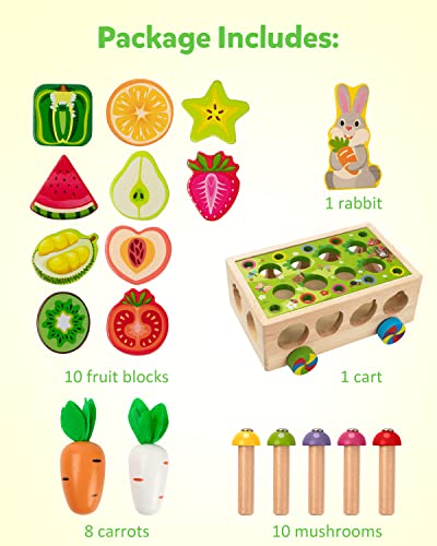 Coogam Montessori Fine Motor Toys for Baby Toddler, Wooden Shape Sorter Carrot Harvest Game, Preschool Learning Educational Gift Toy for 3 4 5 Year Coogam