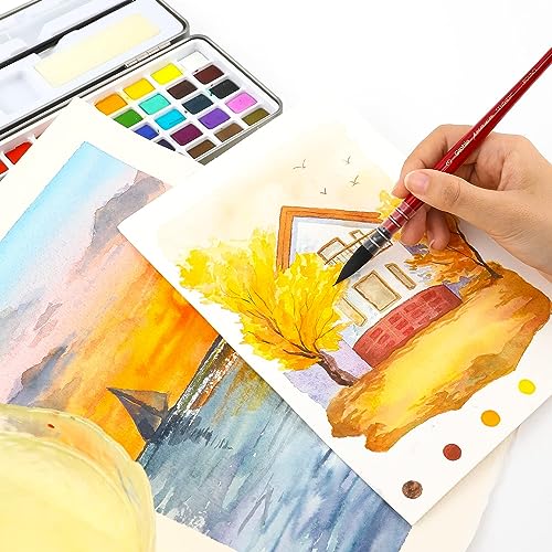 Grabie Professional Watercolor Paint Brushes, Mop Paintbrushes, 9 Pcs, Synthetic Squirrel Hair, Art Supplies for Painting, Great Watercolor Set for Grabie