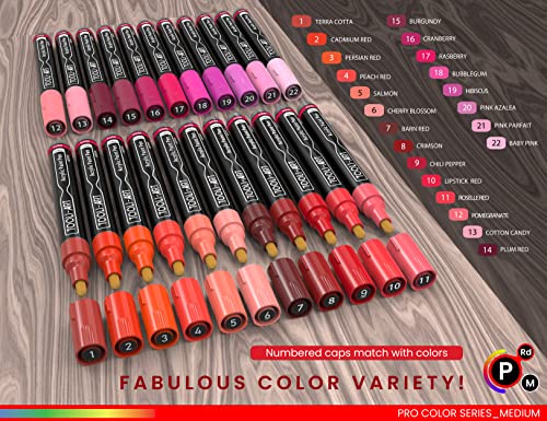 TOOLI-ART 22 Acrylic Paint Markers Paint Pens Pro Color Series Set 3mm Medium Tip for Rock Painting, Glass, Mugs, Wood, Metal, Glass Paint, Canvas, TOOLI-ART