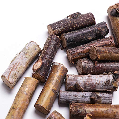 Byher Craft Sticks, Mini Wood Log for Rustic Home Decor - Farmhouse Centerpiece Decor Twigs (Craft Sticks-) BYHER