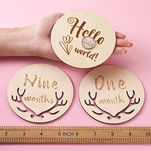 16pcs Baby Monthly Milestone Cards Basswood Milestone Cards with Word Flat Round Wooden Baby Milestone Sign for Baby Registry & Shower Gifts, Newborn EEE ELECRELIVE