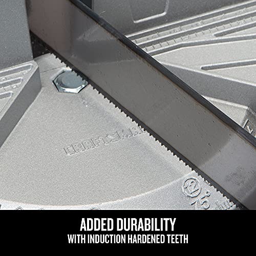 CRAFTSMAN Miter Saw, Adjustable Angle (CMHT20800) Craftsman