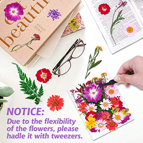 120 PCS Dried Flowers for Resin Molds, Natural Pressed Flowers Leaves Herbs kit with Tweezers for DIY Art Crafts, Candle,Jewelry Making, Scrapbook Cruzix