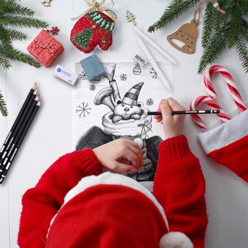 PANDAFLY Drawing Sketching Pencil Set, 22 Piece Pro Art Pencil Kit - Graphite Pencils (12B-2H), Black and White Charcoal Pencils, Charcoal Sticks, PANDAFLY