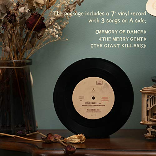 RoWood 3D Wooden Puzzle, Classical Mechanical Model Kit to Build, Best Gift for Teens Adults - Gramophone RoWood