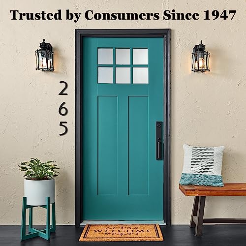 Krylon KSCB028 Short Cuts Brush-On Paint, 1-Ounce, Flat Black Krylon