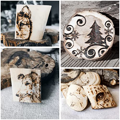 Toolly Wood Burning Kit, Wood Burning Tool, Temperature Adjustable Pyrography Machine, Upgraded 60W Digital Wood Burner Tool with 30PCS Wire Tips for Toolly