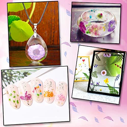 Dried Flowers for Resin Natural Dried Pressed Flowers for DIY Jewelry Molds, Art Crafts Scrapbooking, Candle, Soap Making, Nails Décor Augshy