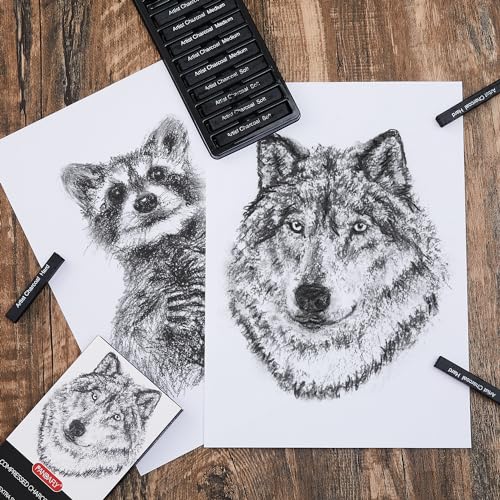 PANDAFLY Compressed Charcoal Sticks, 12 Pieces (Soft, Medium, Hard) Square Vine Charcoal Sticks for Drawing, Sketching, Shading, Charcoal Drawing Set PANDAFLY
