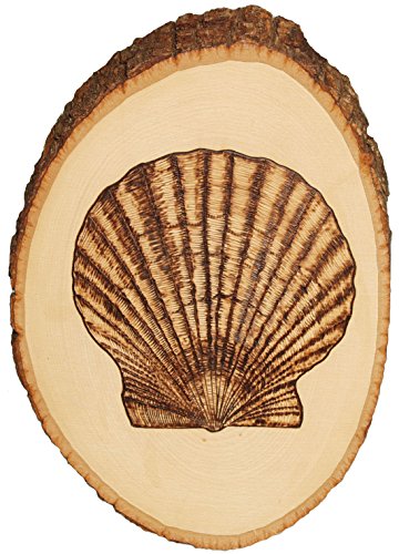 Walnut Hollow Basswood Round, Small 5-7" wide with Live Edge Wood (Pack of 1) - For Wood Burning, Home Décor, and Rustic Weddings Walnut Hollow