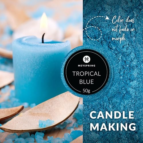 MEYSPRING Tropical Blue Epoxy Resin Color Pigment - 50 Grams - Great for Resin Art, Epoxy Resin, and UV Resin - Mica Powder for Epoxy Resin MEYSPRING