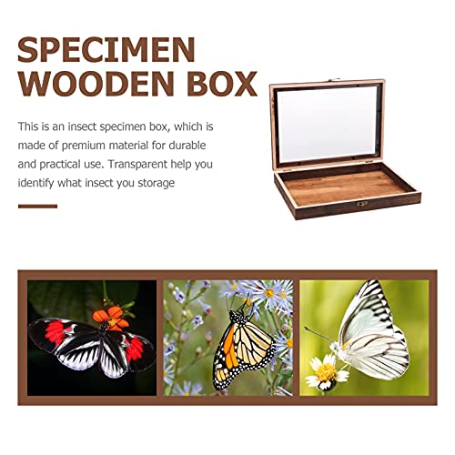 Cabilock Wood Glass Top Display Case Wooden Jewelry Display Case Storage Tray Collectibles Organizer Wood Keepsake Collector Storage Box with Metal Cabilock