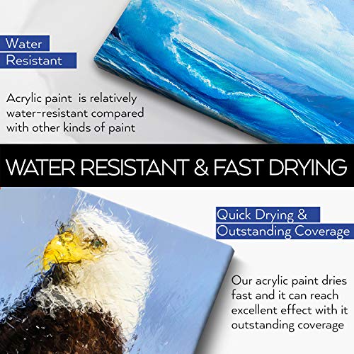 Acrylic Paint White Color (128 oz/1 Gallon), Titanium White With Rich Pigment Non Toxic Paint for Kids Students Artists Painters HissiCo