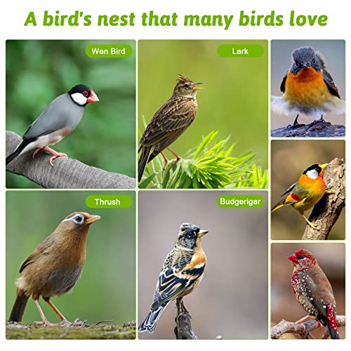 kathson Bird House for Outside Clearance Parakeet Nesting Box Wooden Houses Hanging Wood Breeding Outdoor Parrot Birdhouse Natural Aviary Cage kathson