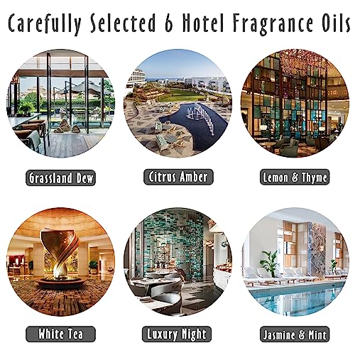 Fragrance Oils, MitFlor Hotel Collection Diffuser Oil for Home, Soap & Candle Making Scents, Aromatherapy Essential Oils Gift Set 6x10ml, Lemon & MitFlor