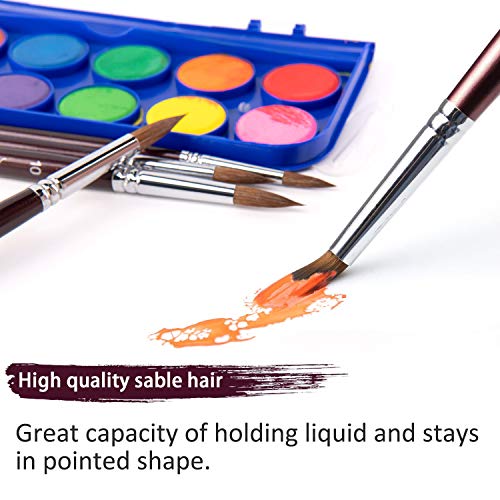 Sable Watercolor Brushes, Fuumuui 9pcs Detail to Mop Kolinsky Sable Brushes Round Pointed Professional Watercolor Brushes Perfect for Watercolor Fuumuui